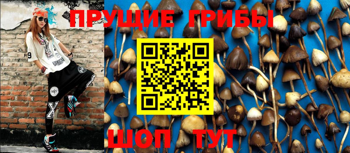 Галлюциногенные грибы Magic Shrooms Лянтор
