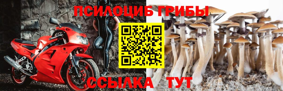Псилоцибиновые грибы мицелий  Псилоцибиновые грибы ЛСД  Лянтор  Вход с VPN 